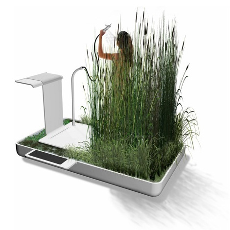 Phyto-Purification Bathroom