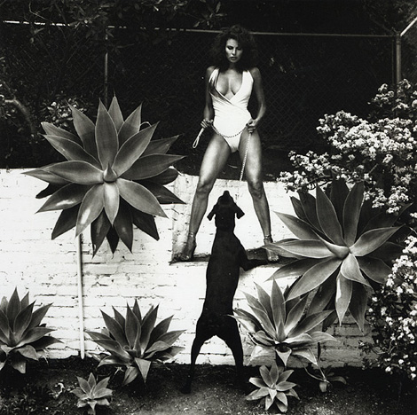 Raquel Welch by Helmut Newton