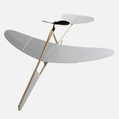 The Crow model airplane