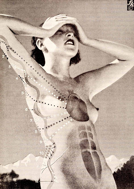Fritz Kahn