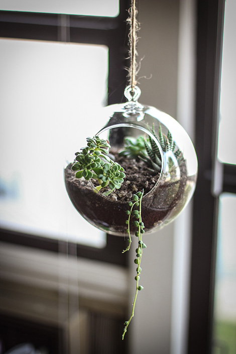 DIY succulent planter
