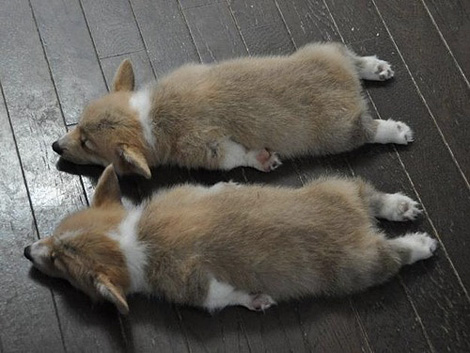 Un. Deux. Trois.