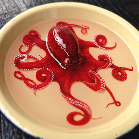 Octopus painted plate
