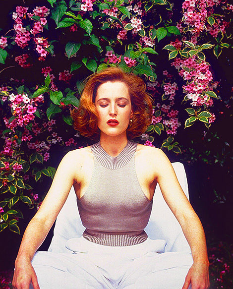 Gillian Anderson x Armando Gallo