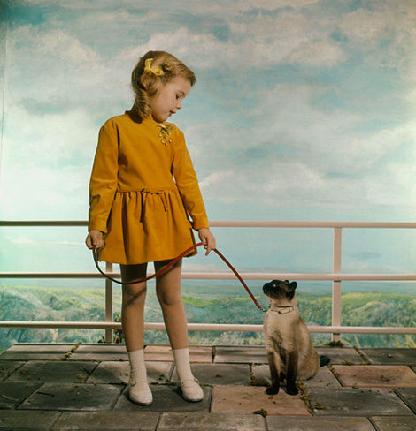 Girl with Siamese cat