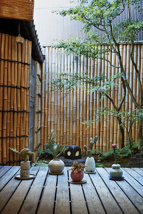 Kyoto plants and pots