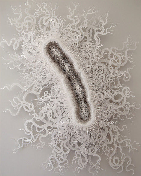Microbe