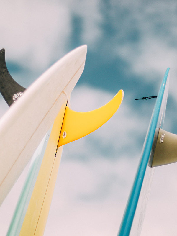 Fins in the sky