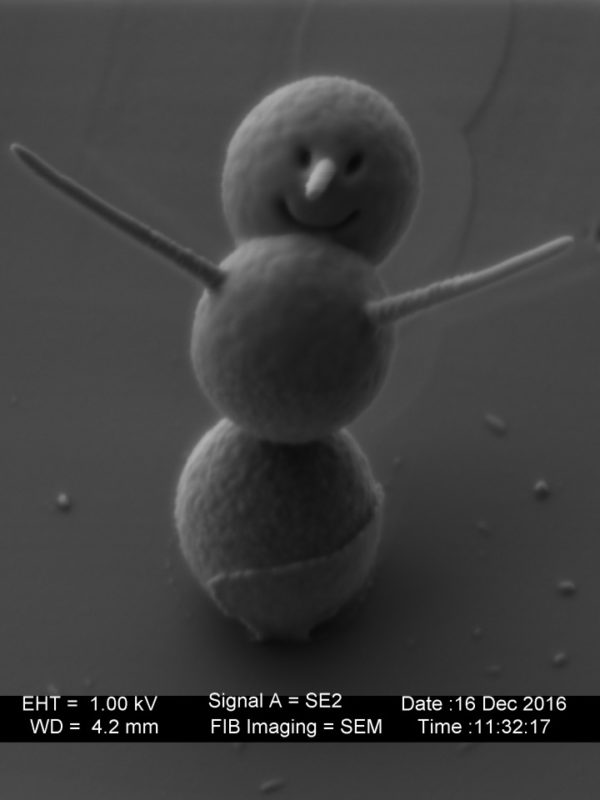 The World's smallest snowman