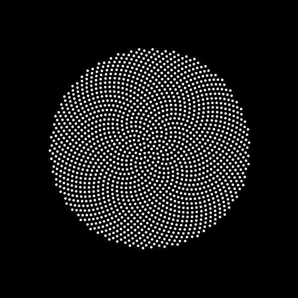 Phyllotaxis