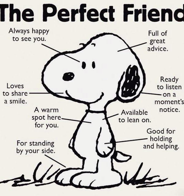 The Perfect Friend
