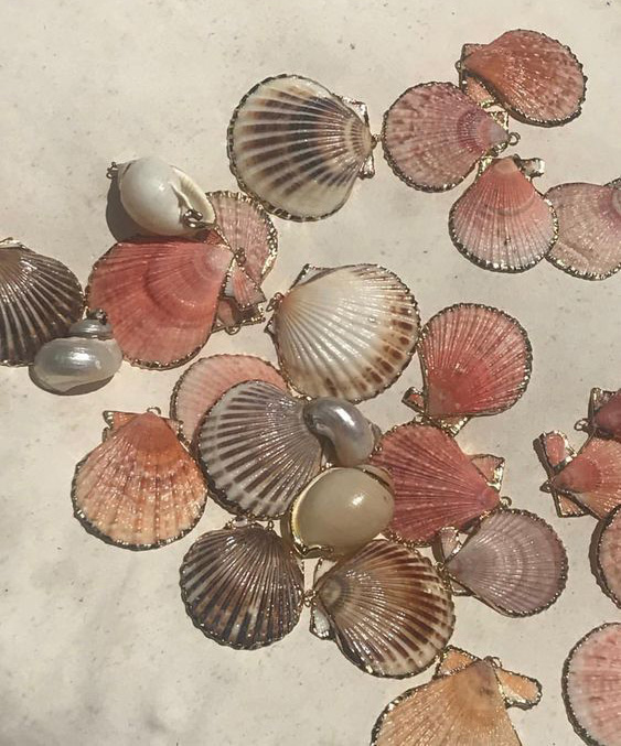 Fruits de mer