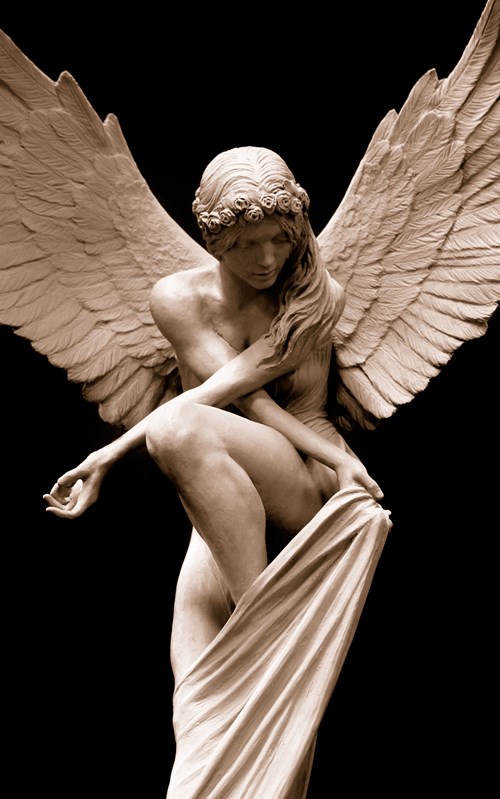 The Angel x Benjamin Victor