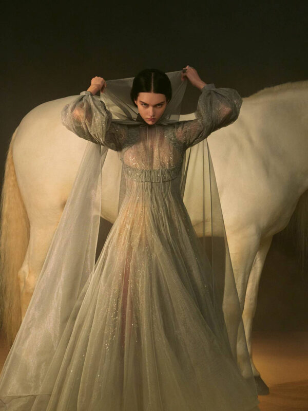 Christian Dior x Elina Kechicheva