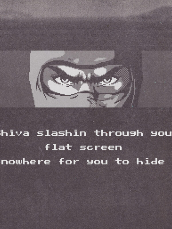 Ninja Gaiden