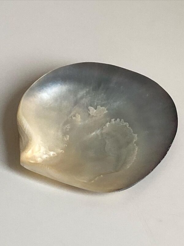 Pearl Vide Poche