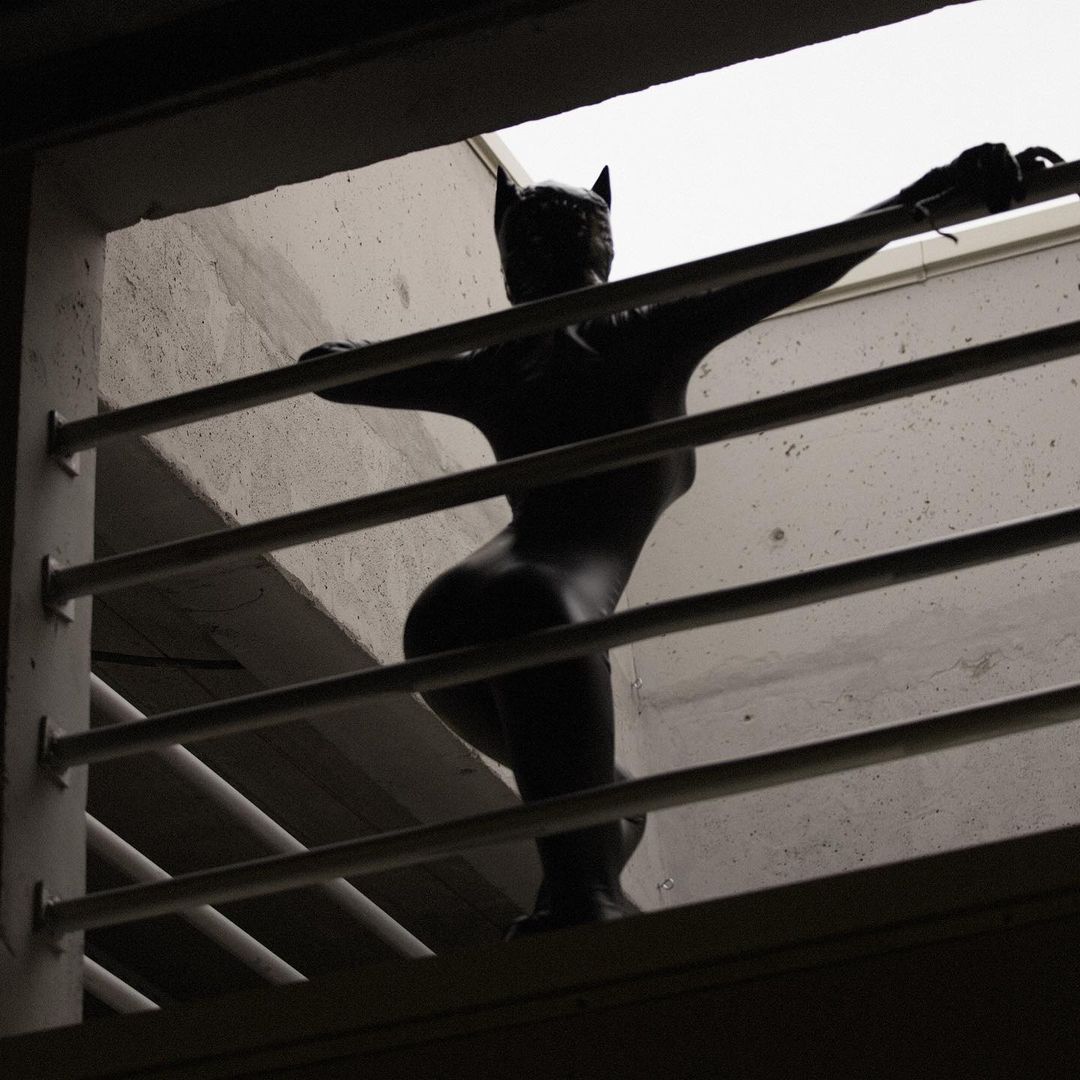 Le chat