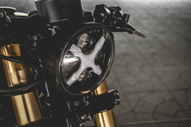 "The King's Man" Stallions Makina 250