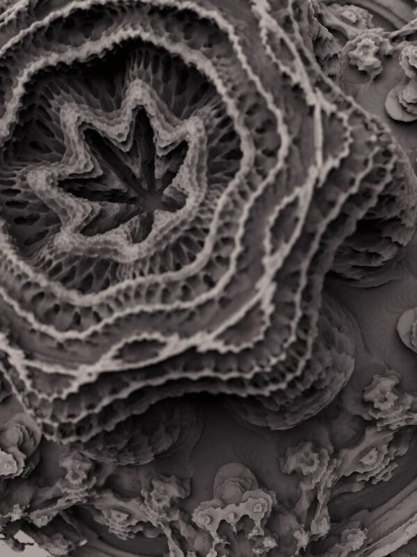 Fractal Macrocosm