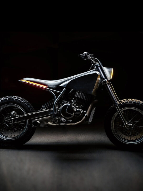 CCM 664 x TCD