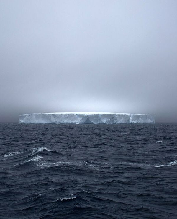 Iceberg