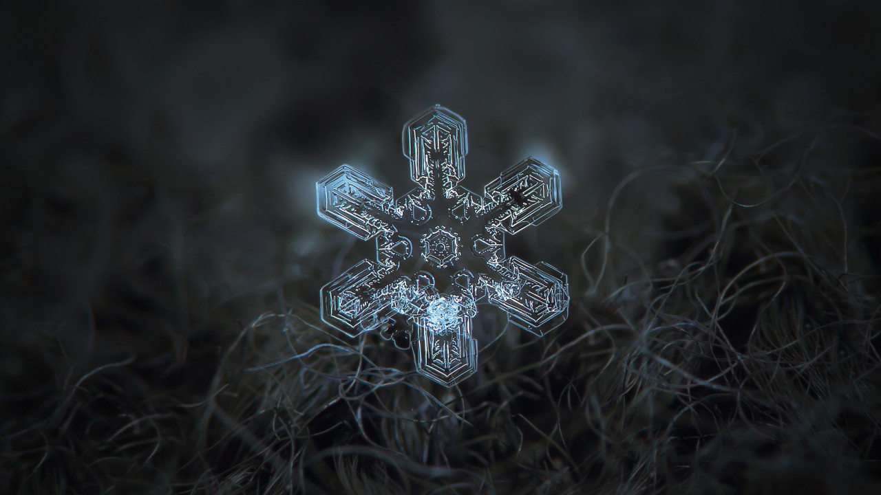 Snowflakes