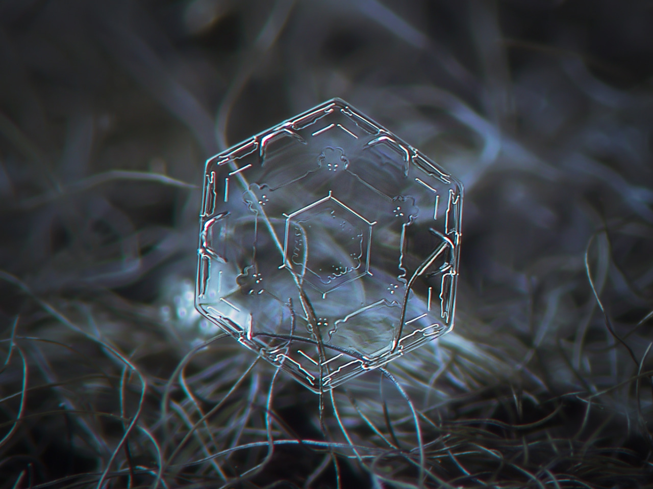 Snowflakes
