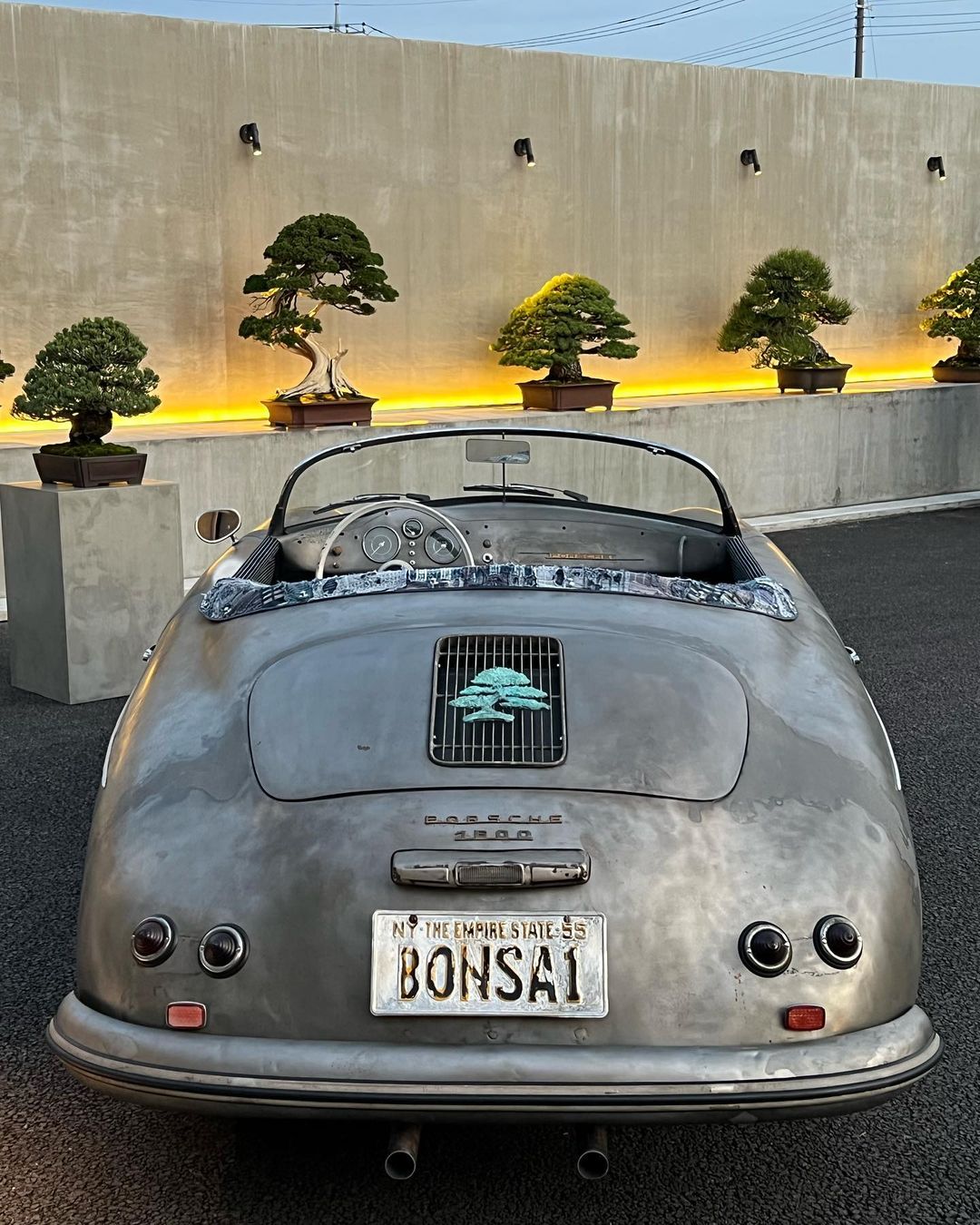 Bonsai Porsche Speedster