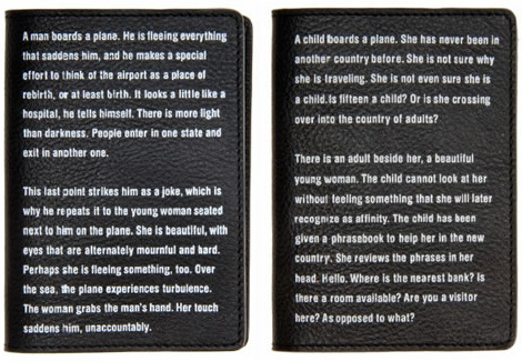Fiction passport cover
