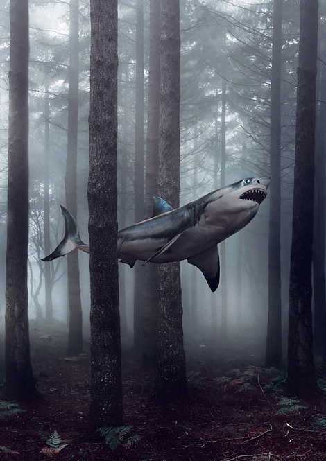 Shark NOIR Shark NOIR